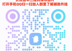 玩家必备攻略“多乐跑胡子如何让系统发好牌”（辅助插件下载教程）